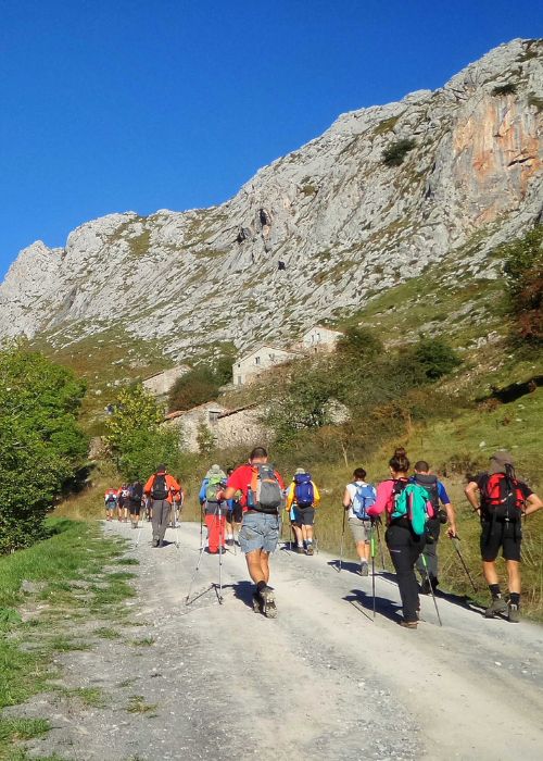 big group transport albania